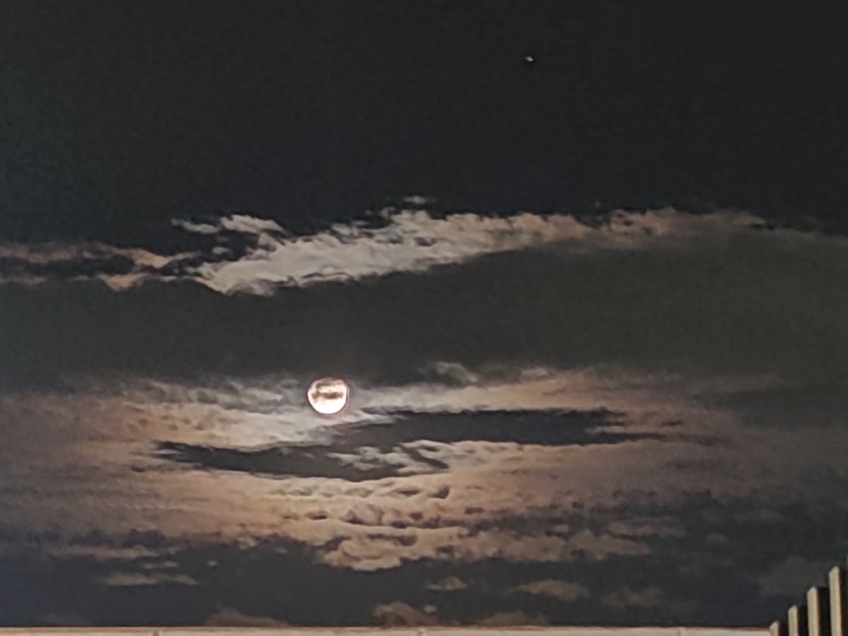 sele_nuska's tweet photo. #LunaRosa hermosa, majestuosa ❤ #LunaLover https://t.co/9SVq8MTneM