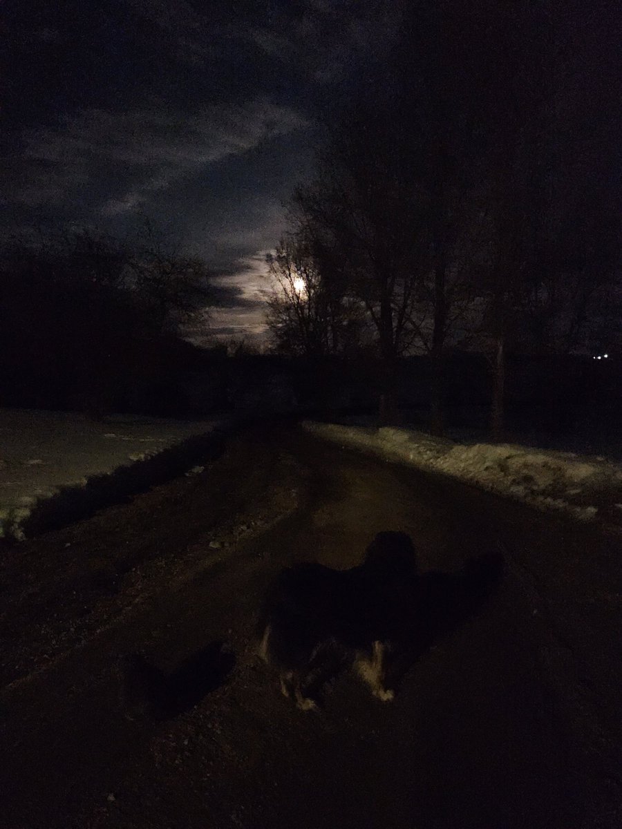 TaitDan's tweet photo. Muddy paw season https://t.co/yjDooraJiw