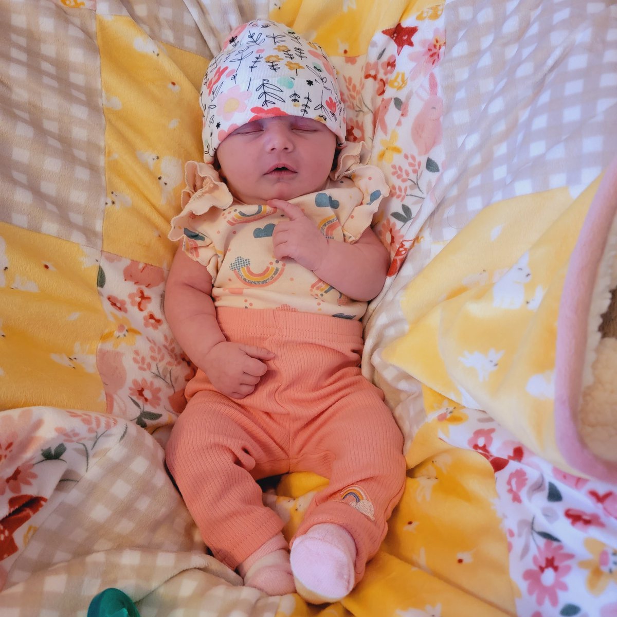kurstinbailey's tweet photo. My girl is 2 weeks old today 🥰 I may be biased, but she is the cutest thing I have ever seen https://t.co/I5NutXnput