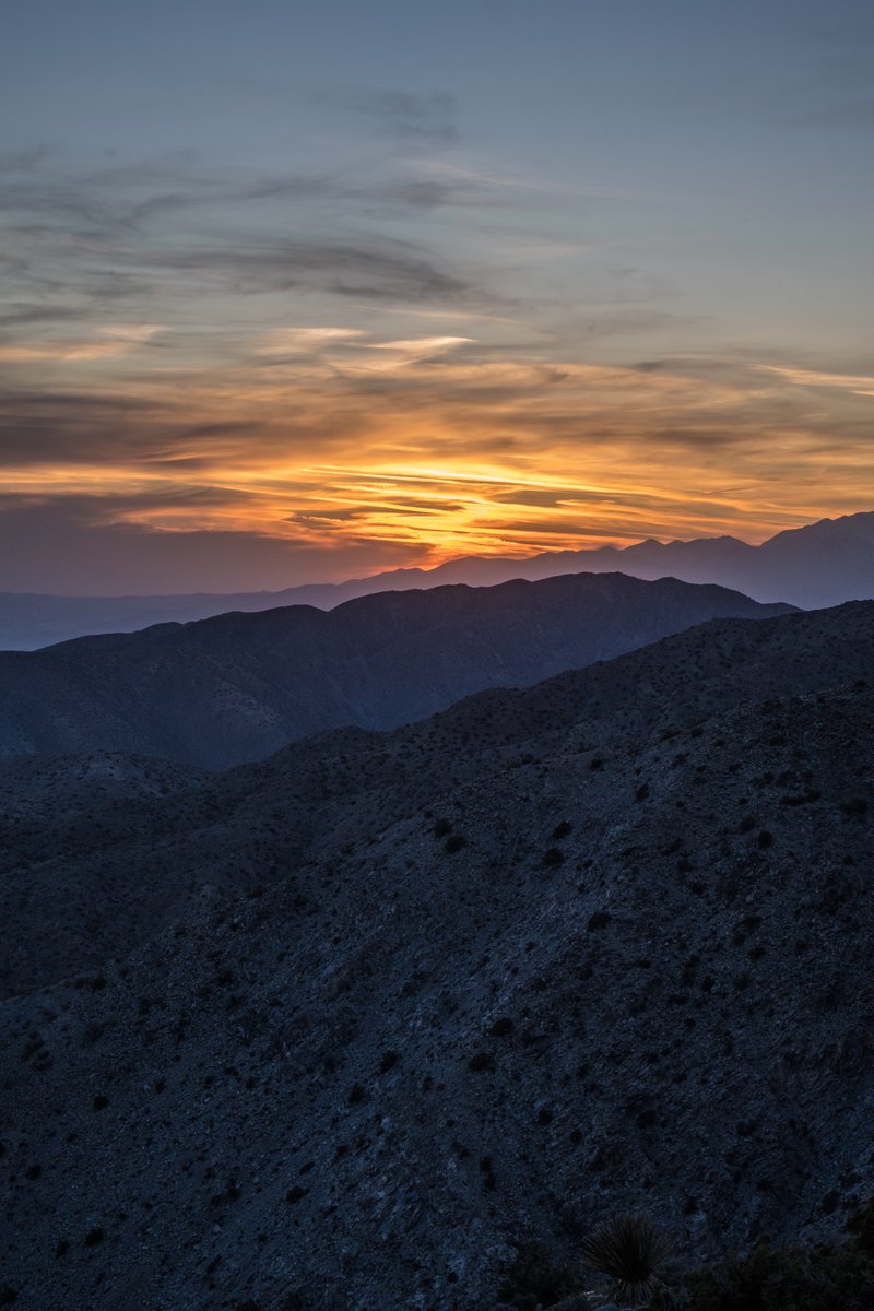 rootbeerphoto's tweet photo. Sunset. Joshua Tree. Sunset. Joshua Tree. β€οΈhttps://t.co/CrPuKzJGJp #joshuatree #mothernature #shotbyjason #doingwhatido #lovingwhatido #seeyououtthere https://t.co/KXZN2Lv2YU