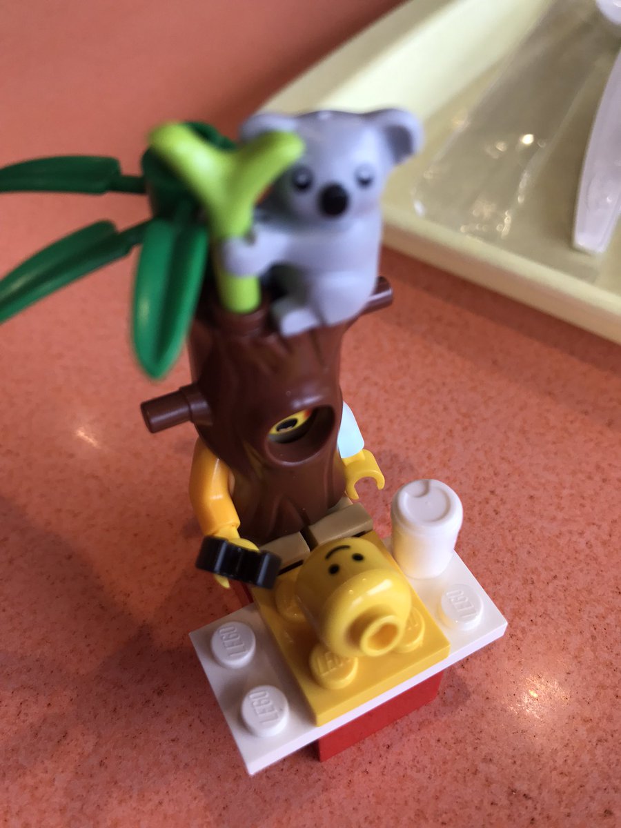 げんぼくしいたけ🍄 tweet media