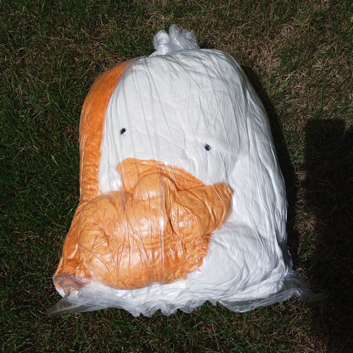 Admiral Potato tweet media