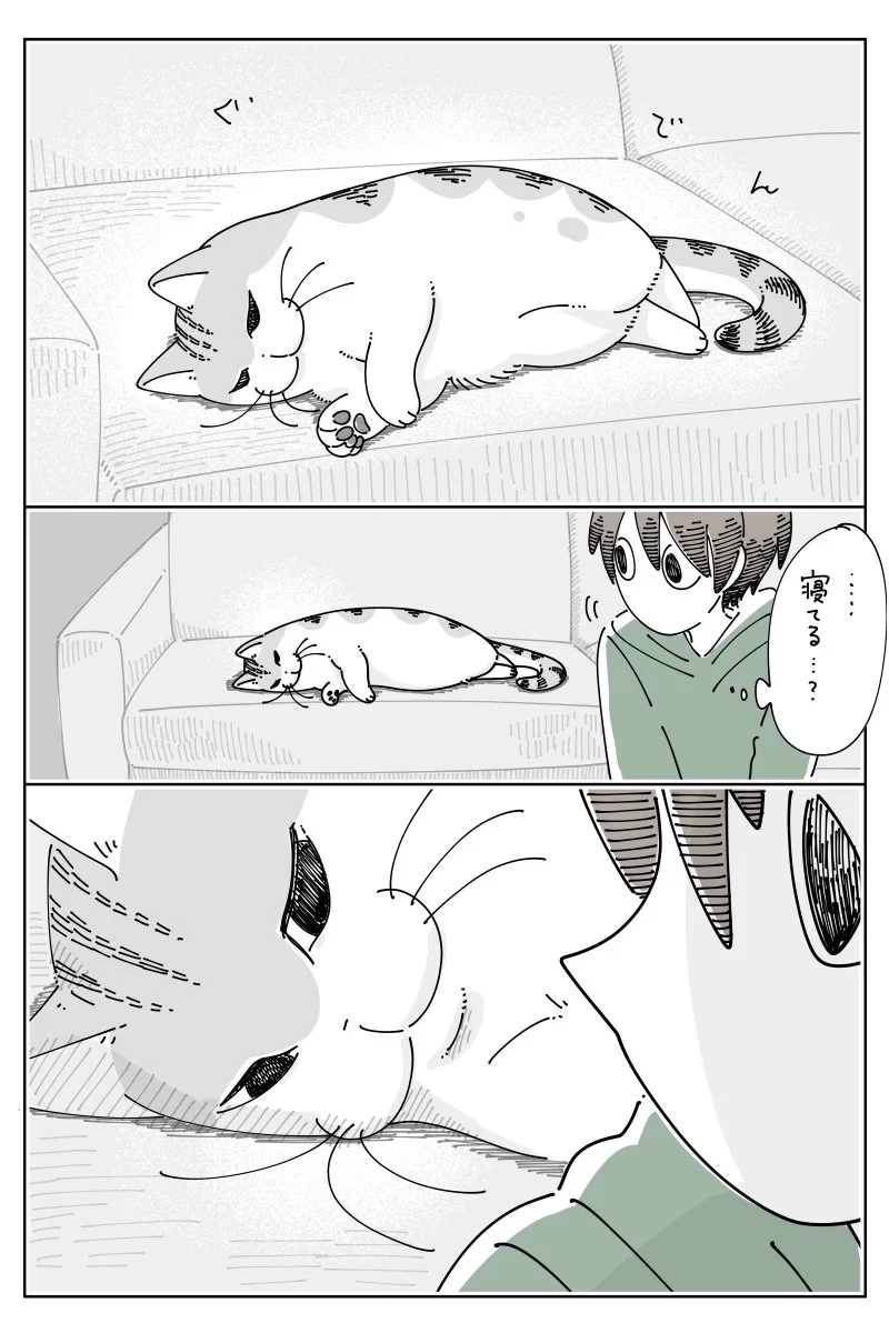 「ご自由にモード」に入っている猫の爪を切ろうとしたら･･･！可愛くて癒されちゃう「猫漫画」が話題に！