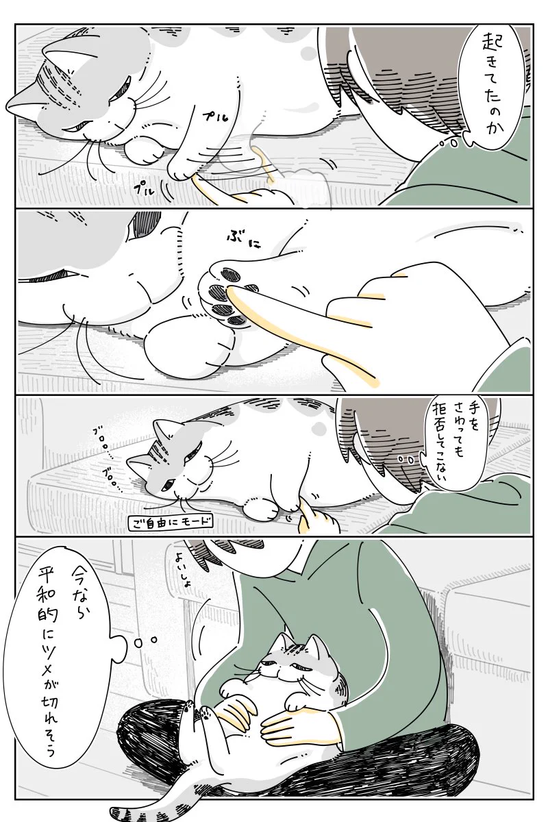 「ご自由にモード」に入っている猫の爪を切ろうとしたら･･･！可愛くて癒されちゃう「猫漫画」が話題に！