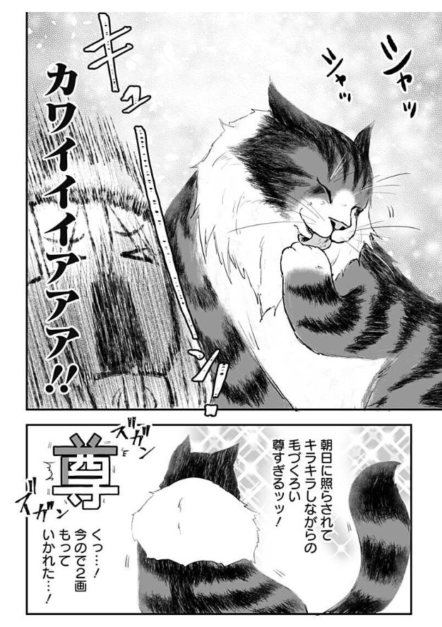 「少年ジャンプ+」で「奴隷の私氏 モフモフ主人が尊くて 今日も無事死亡」最新話が配信されました!
尊死ゲージガバガバ回!
尊死ゲージガバガバ回です!
#ジャンププラス
#漫画が読めるハッシュタグ
🔽続きはこちら🔽
https://t.co/QFcpNFPM5c