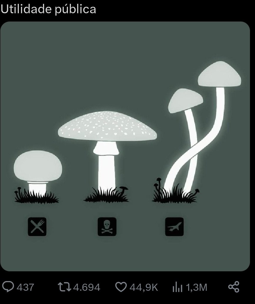 Mateus, especialista em 🍄 tweet media