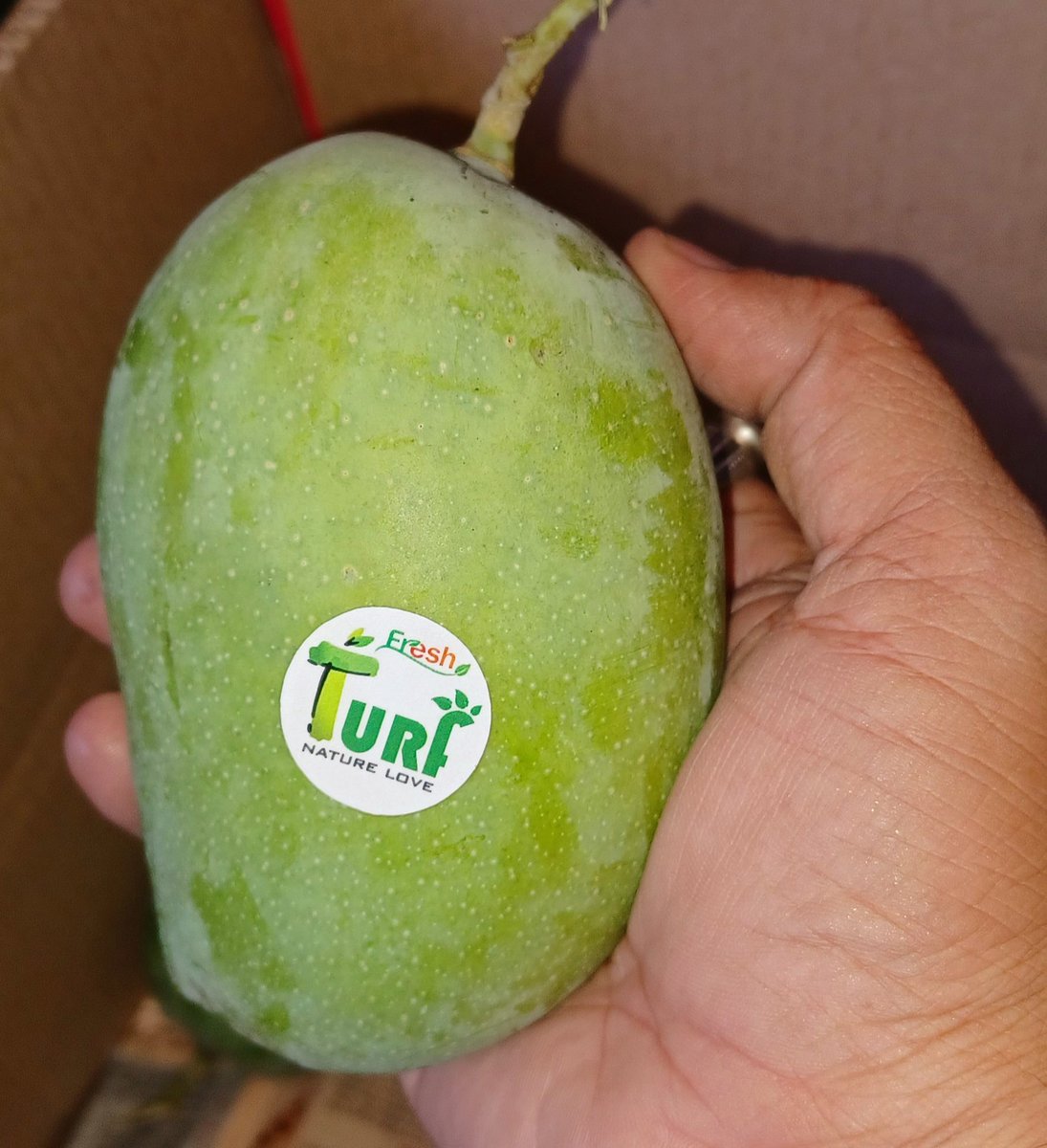 TurfFresh's tweet photo. Order Fresh Gir Gujarat Kesar Mangoes at your doorstep 

https://t.co/SnZ8rJx90H

#WorldHealthDay2023
#HealthForAll
#FarmtoDoor
#turffresh
#kesarmango
#girkesar
#alphonsomangoes
#mangoes
#freshmangoes
#Amazon 
#Flipkart 
#Fresh 
#HealthyFood 
#Streetfood
#viral 
#viralfoods https://t.co/pr5NoAa3Td