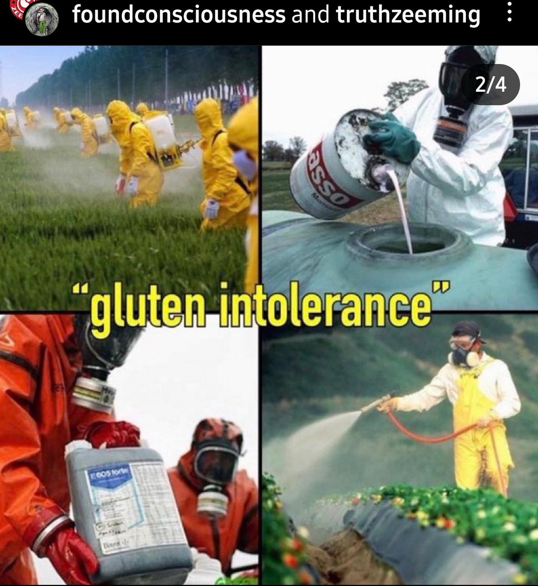 #glutenintolerance #Monsanto #weedkilker #bread #alergies #northamerica