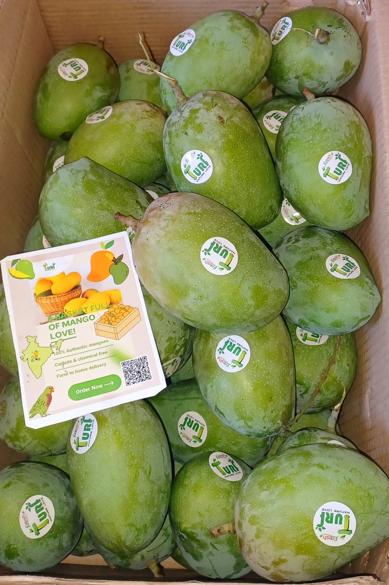 TurfFresh's tweet photo. Order Fresh Gir Gujarat Kesar Mangoes at your doorstep 

https://t.co/SnZ8rJx90H

#WorldHealthDay2023
#HealthForAll
#FarmtoDoor
#turffresh
#kesarmango
#girkesar
#alphonsomangoes
#mangoes
#freshmangoes
#Amazon 
#Flipkart 
#Fresh 
#HealthyFood 
#Streetfood
#viral 
#viralfoods https://t.co/pr5NoAa3Td