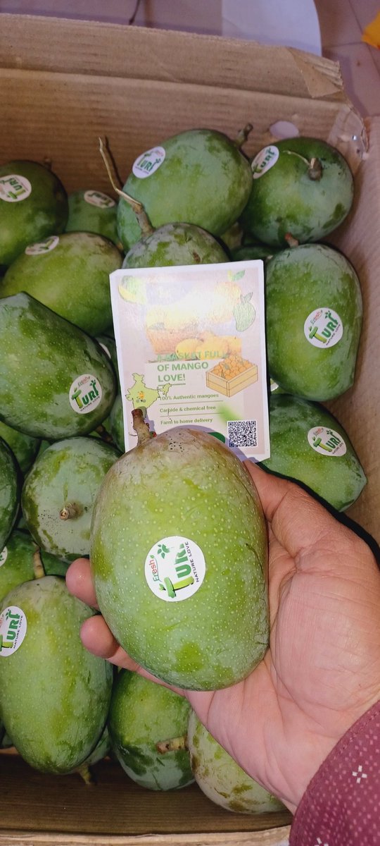 TurfFresh's tweet photo. Order Fresh Gir Gujarat Kesar Mangoes at your doorstep 

https://t.co/SnZ8rJx90H

#WorldHealthDay2023
#HealthForAll
#FarmtoDoor
#turffresh
#kesarmango
#girkesar
#alphonsomangoes
#mangoes
#freshmangoes
#Amazon 
#Flipkart 
#Fresh 
#HealthyFood 
#Streetfood
#viral 
#viralfoods https://t.co/pr5NoAa3Td