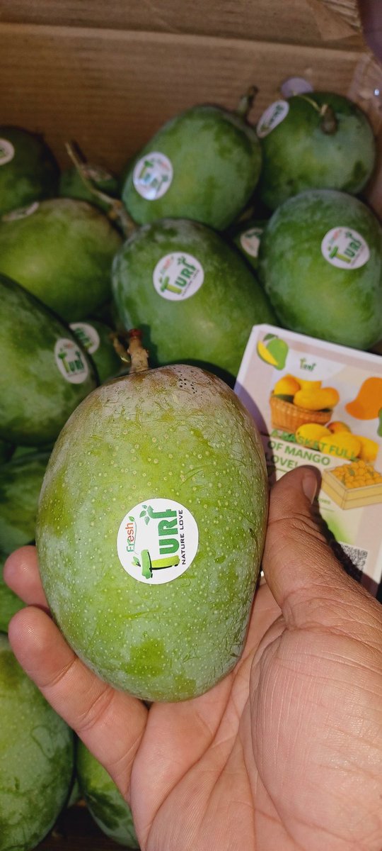 TurfFresh's tweet photo. Order Fresh Gir Gujarat Kesar Mangoes at your doorstep 

https://t.co/SnZ8rJx90H

#WorldHealthDay2023
#HealthForAll
#FarmtoDoor
#turffresh
#kesarmango
#girkesar
#alphonsomangoes
#mangoes
#freshmangoes
#Amazon 
#Flipkart 
#Fresh 
#HealthyFood 
#Streetfood
#viral 
#viralfoods https://t.co/pr5NoAa3Td