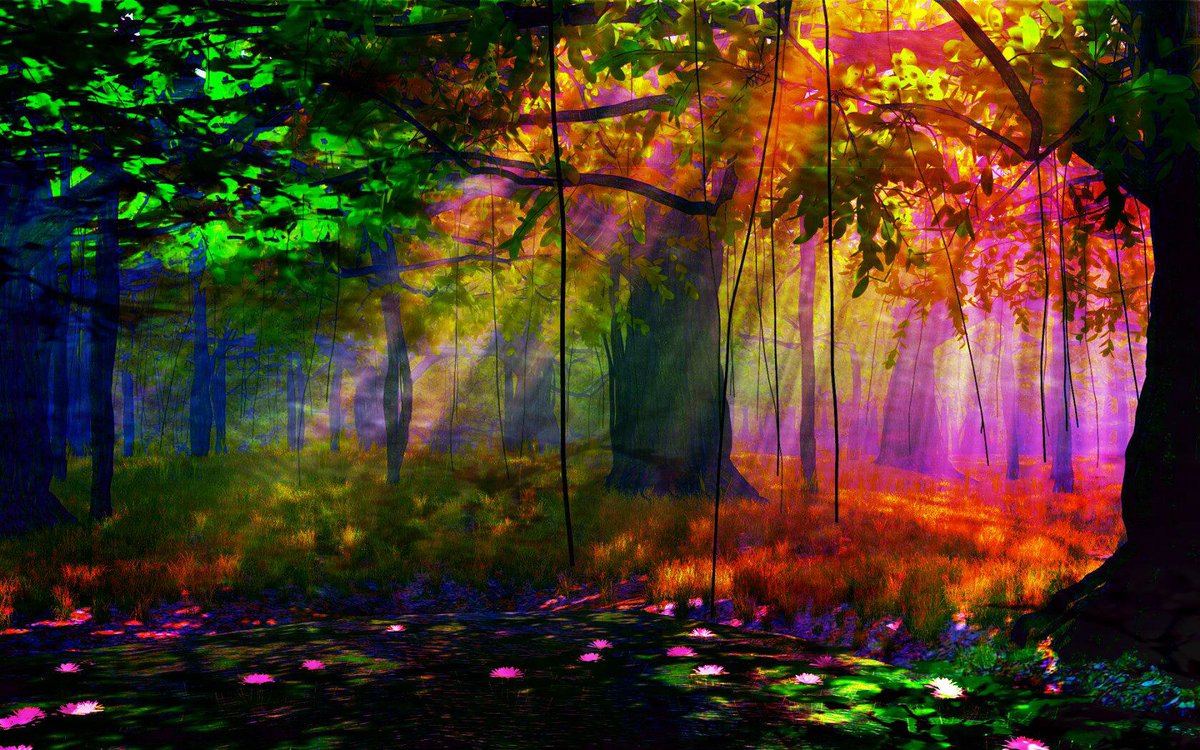 map0flag0nature's tweet photo. https://t.co/fpWuswiWsg
Colorful nature - Colors Photo
#natuer #wallpapers #HD #forest #plants #tree #flowers #leaves #flower #summer #yellow #animal  #botany #greenery #herbs #leafdesign #natuerpattern #minimalpattern #simpleplants #plantmom #houseplants #greenthumb #black https://t.co/da7LAn3aJb