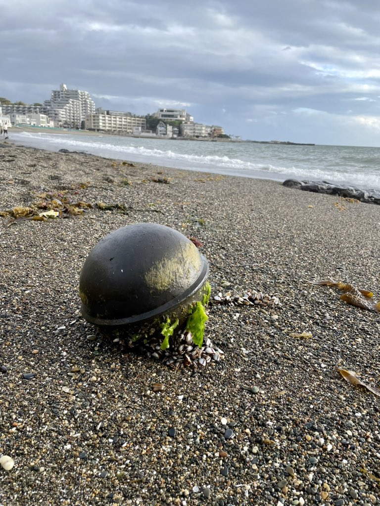 oyajipowers's tweet photo. ボーボー♡
#漂流物 #ボーボー #浮き玉 #曇天 #drift #dullweather #flotingball #hightide #seashore #akiyabeach https://t.co/r45z990Ecc