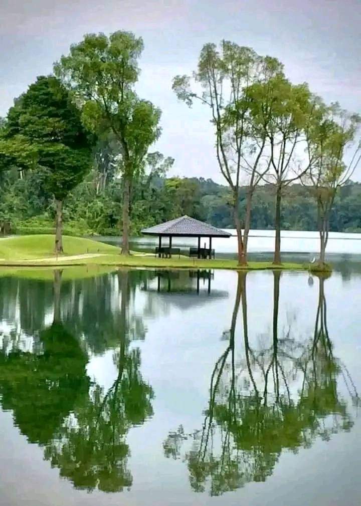 PJ5OMMwywtlrwoU's tweet photo. ಬಾಹ್ಯ ಸನ್ನಿವೇಶಗಳು 
ಏನೇ ಇರಲಿ, 
ಸಂತೋಷದಿಂದಿರಲು 
ಕಲಿಯಿರಿ.❤️
#ಕಾಡುವನೆರಳು https://t.co/33jBIMvzXv