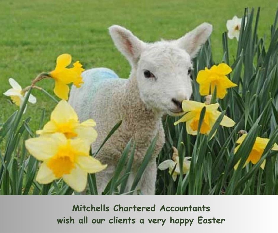 Mitchells (@mcataunton) on Twitter photo 