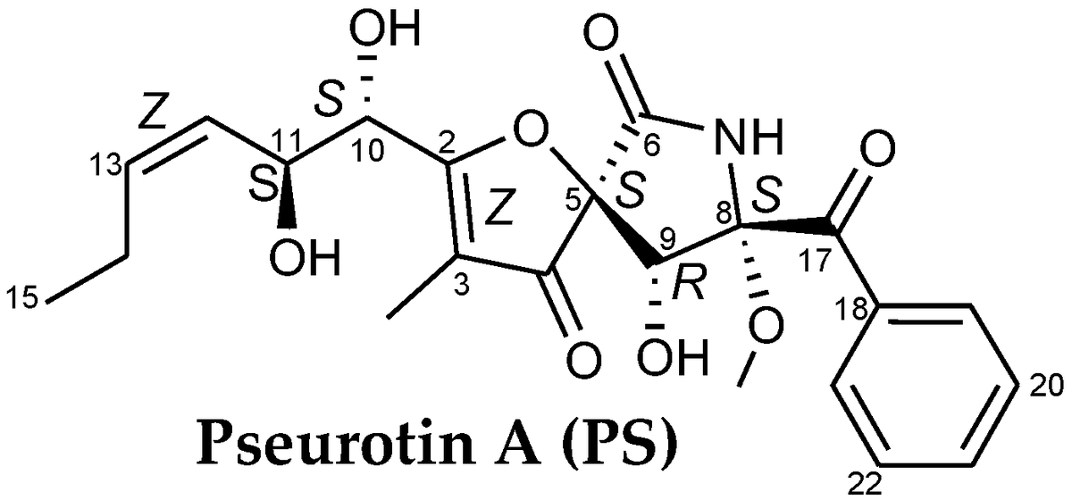 Marine_Drugs's tweet photo. Article: Pseurotin A Validation as a Metastatic Castration-Resistant Prostate Cancer Recurrence-Suppressing Lead via PCSK9-LDLR Axis Modulation, by Khaldoun S. Abdelwahed et al.
https://t.co/vfoLVV88tF
#PseurotinA #mCRPC #LDLR #PCSK9 #cholesterol https://t.co/jQwOJdIZbz