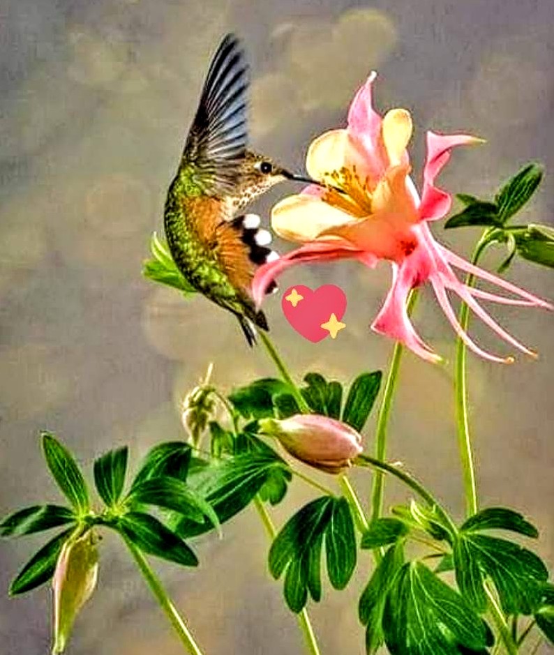 Michael Hall tweet media