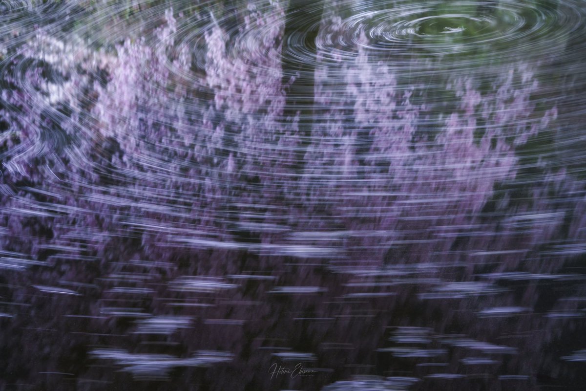 to_ko_photo's tweet image. ～ 廻 ～

#とこの写真たち
#tokyocameraclub