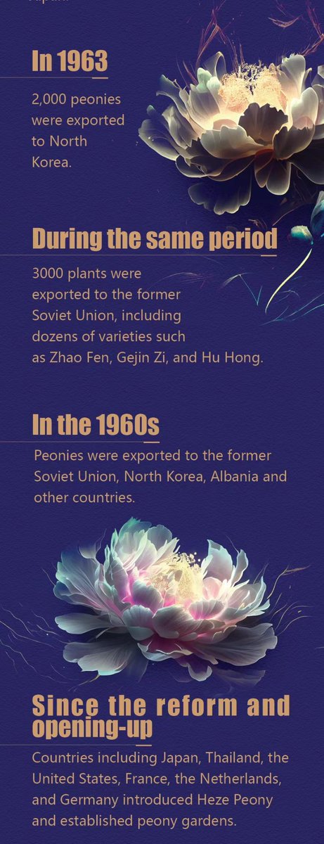 Peony Art（互fo） tweet media