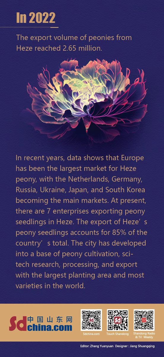 Peony Art（互fo） tweet media