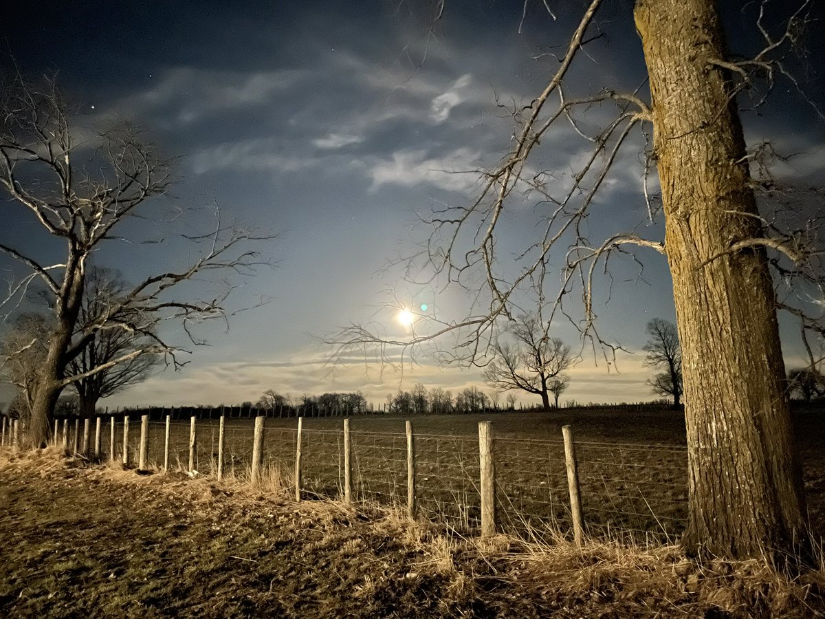 Buschbeckfarm's tweet photo. The full moon tonight. Also know as the Pink Moon and the Paschal a moon. This year, April’s full Moon is the first full Moon of the spring season, This means that April’s full Moon is the Paschal Moon #fullmoon #pinkmoon   #moon #PaschalMoon https://t.co/WnZH5Pldma