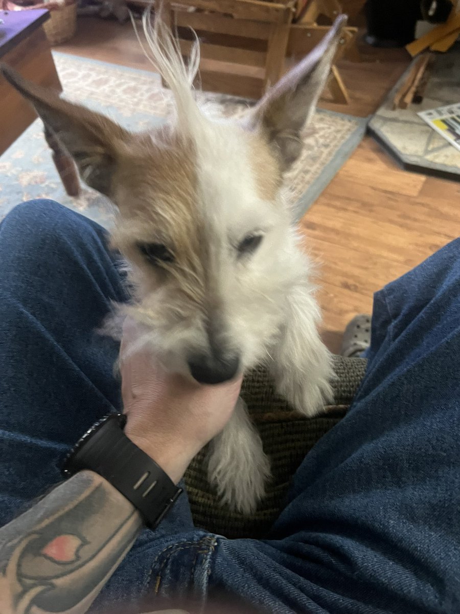 umbrellaman530 tweet media