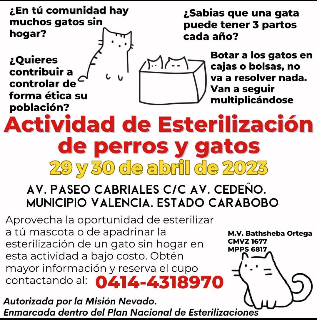 #esterilizacion #gatos #perros.  Se un dueño RESPONSABLE    o ayuda una Gata en situación de calle.  🐈. #valencia #carabobo #difundir