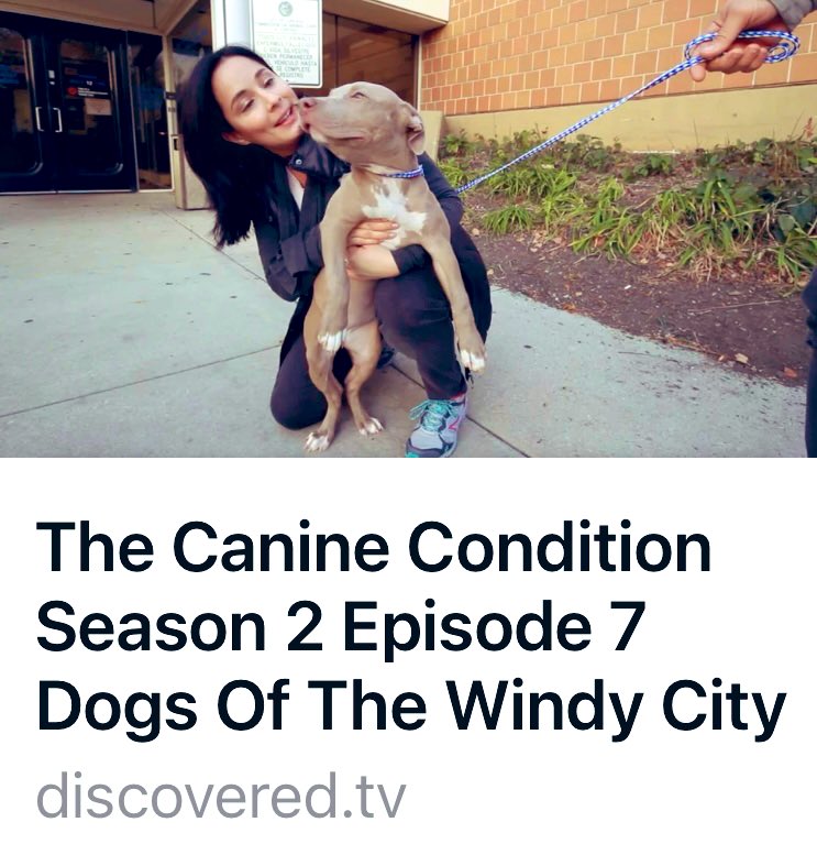 The Canine Condition Foundation tweet media