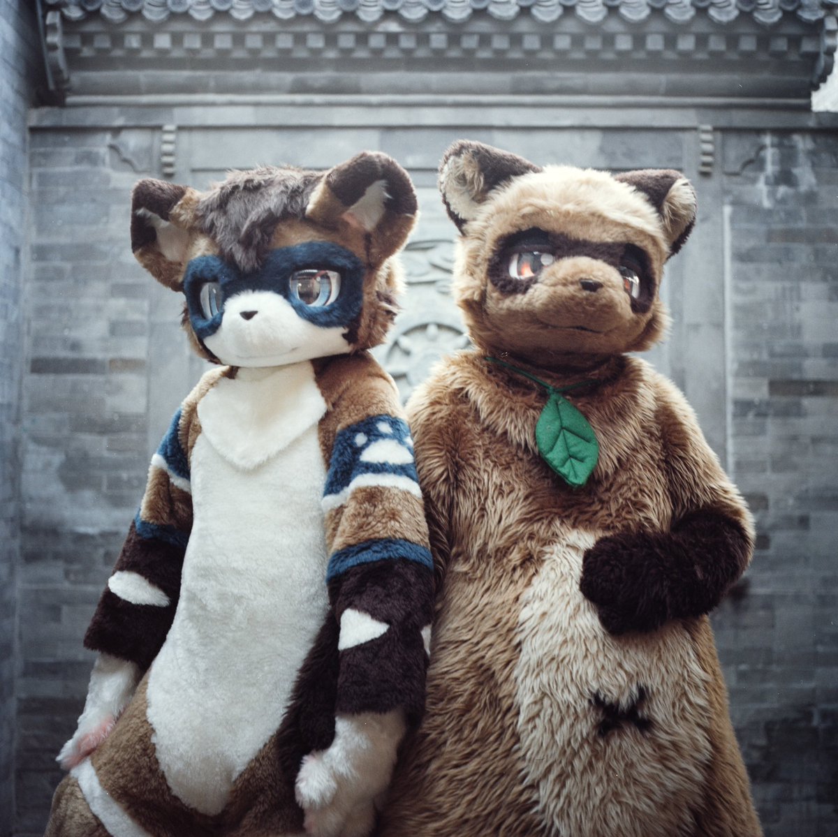 饱腹、远方与交集

with <a href="/hyacid_1/">哈卡·Haka&まるきち</a> 
Photo by <a href="/chungou_cn/">📸風剣　NEXT👉万兽汇</a> 
#FursuitFriday