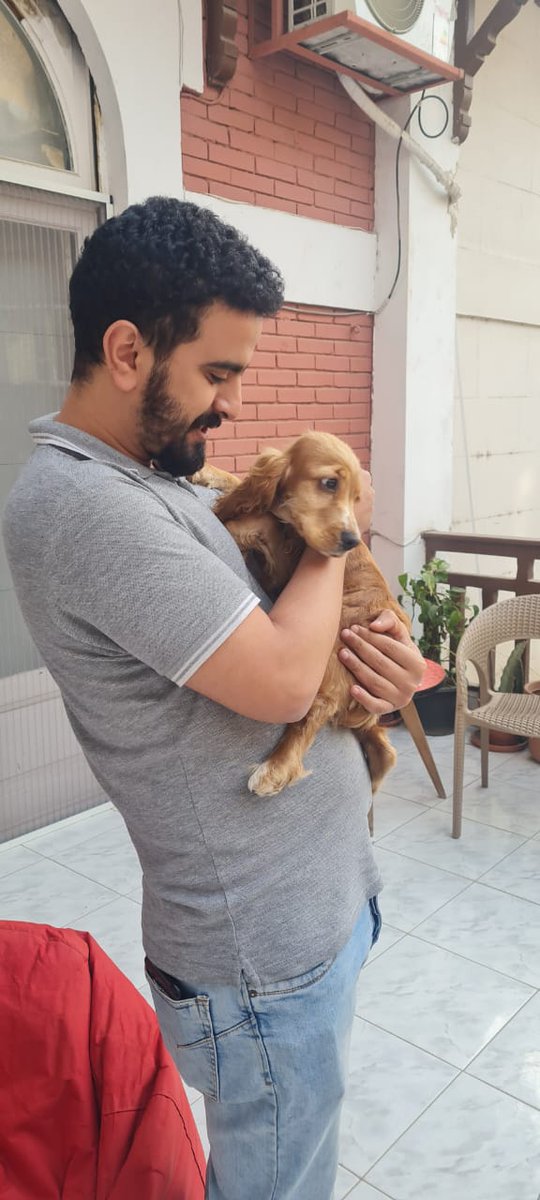 Cak_tuss's tweet photo. We had the pleasure, nay, the honor, of welcoming a very important guest to our office this week

🐶 https://t.co/0WADLLA1HX