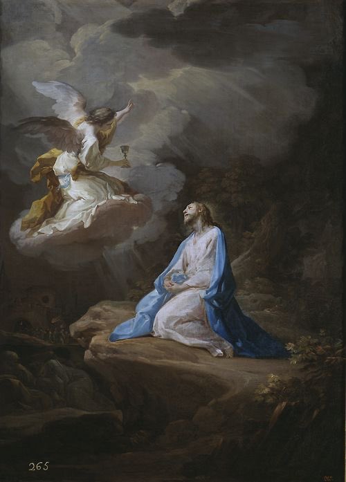 VC Valores Católicos tweet media