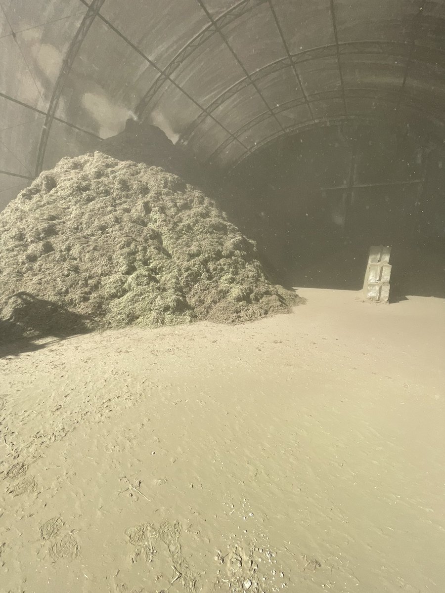 We had the cow chow food trucks rolling today. It’s starting to warm up let us take care of your feed while your busy getting ready for planting. Give us a call for all of your grinding needs 319-442-3138