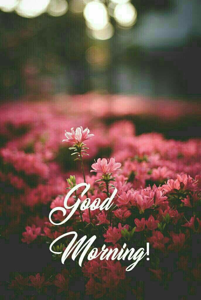 AnupamaNair 🇮🇳 (@anupamarnayar) on Twitter photo 