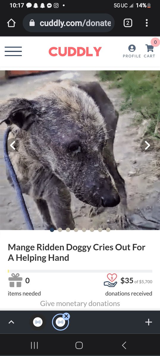 PitbullTina's tweet photo. #PleaseRTRTRT!!! please help this sweet girl crying out in pain! Poor baby, my heart breaks for her!!
https://t.co/7VCqOiwqdE
Or
https://t.co/lAYuxg5lQa https://t.co/HKDxnRiApw