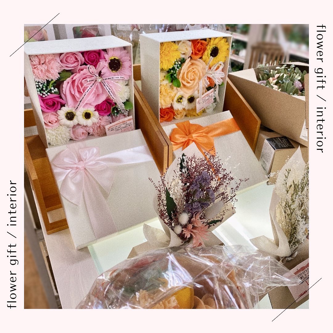 SDhonatsugi's tweet photo. こんにちは🌸🍡 スイデコ本厚木店です❗️

今回は新商品のご紹介♪
インテリアにもギフトにも最適なフラワーグッズが多数入荷しました！⸜🌷︎⸝‍

お部屋のワンポイントに、大切な方への贈り物に、ぜひいかがですか？😉✨

#新商品 #インテリア #ギフト https://t.co/8O3yXCJL9i