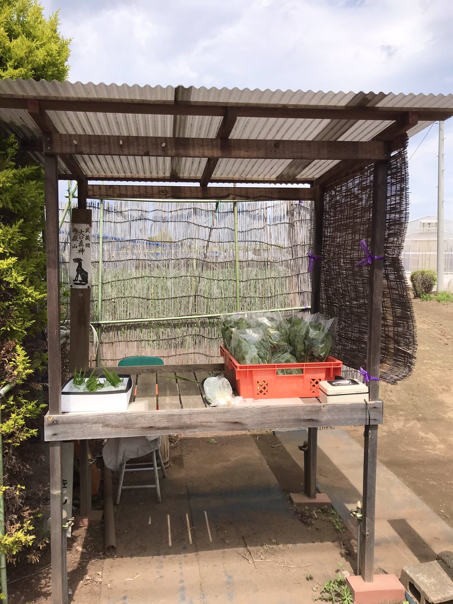 FushimiAka's tweet image. 無人販売所に #武蔵御嶽神社 のお札を見つけました🐺
しっかり睨みを効かせるオイヌサマ。

このように盗難避けとして、活用されています。近所の別の農家の販売所にも貼られていました。

狼の幻覚幻聴が現れ、盗っ人の正気を失わせてしまう、という内容の伝承もあり、怖い存在でもあります。