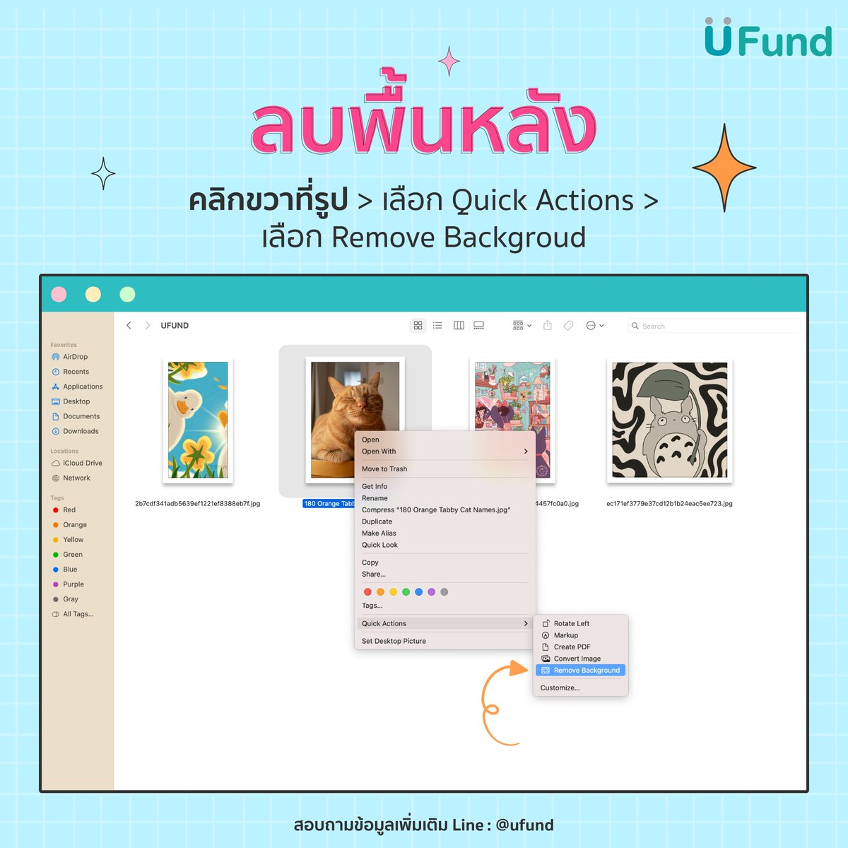 ufundofficial's tweet photo. 💻คนใช้ MacBook ห้ามพลาด! กับฟังก์ชันลัด Quick Action ที่จะช่วยให้ใช้งานได้สะดวกขึ้น แปลงไฟล์ง่ายๆ ใน 1 วินาที 😍 รู้แบบนี้แล้ว อย่าลืมไปลองทำกันดูน้าา
🤩สมัคร UFund #นักศึกษา #ผ่อนได้ไม่ง้อบัตร ตรงนี้เลย https://t.co/oGY0luqgtP
#ufund #MacBook #ustore #Studio7 https://t.co/WPW8goso9e