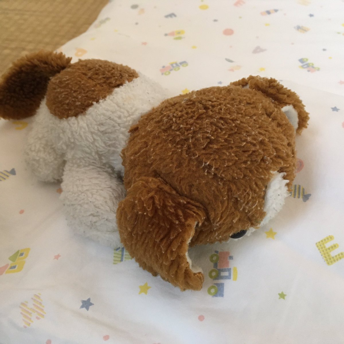 YusukeShinyama's tweet photo. Meet Wan-taro, a 30-yrs old doggy plush that my wife brought from her home. My son loves it, but he treats it so violently that I’m afraid that one day it gets destroyed. https://t.co/d1l5U7e012