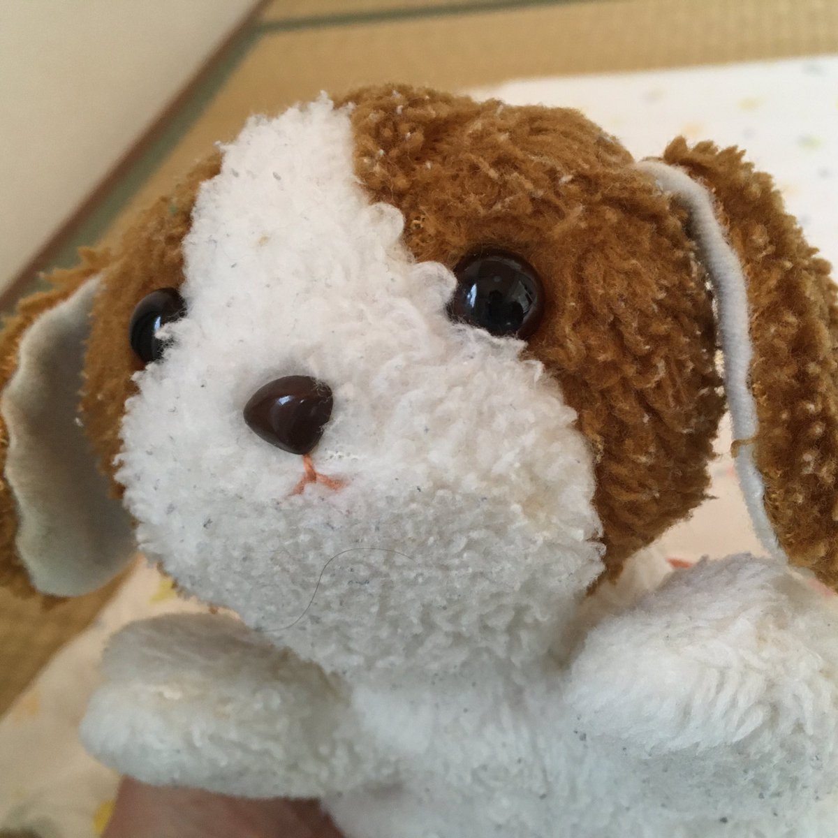 YusukeShinyama's tweet photo. Meet Wan-taro, a 30-yrs old doggy plush that my wife brought from her home. My son loves it, but he treats it so violently that I’m afraid that one day it gets destroyed. https://t.co/d1l5U7e012