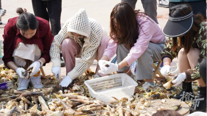 hangzhoufeel's tweet photo. 😋🍲A local dish simmered in a large iron pot for more than three hours was unveiled at the #bamboo shoots #banquet at #Zhejiang A&F #University on April 2. 🎋Thousands of teachers and students had the opportunity to taste a variety of bamboo shoot #dishe with different #flavors. https://t.co/Hha18NFyEL
