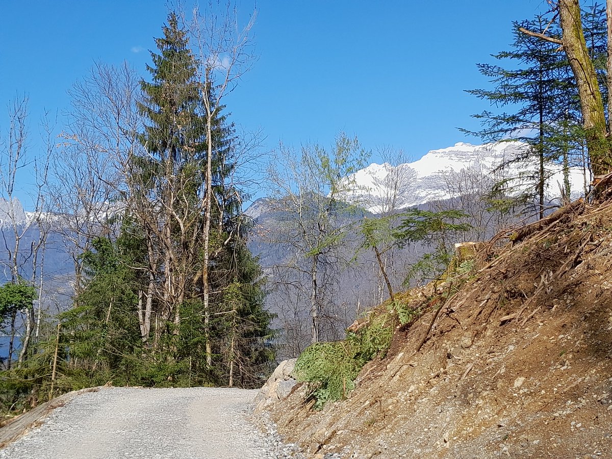 XavierNicot's tweet photo. En forêt communale de Doussard en Haute Savoie, @ONF_Officiel accompagne la commune et plusieurs propriétaires forestiers pour la construction d'une nouvelle desserte forestière. 
#lebois #feader 
@Dep_74 @CoforAURA @Prefet74 @auvergnerhalpes https://t.co/v8f1qlT4uK