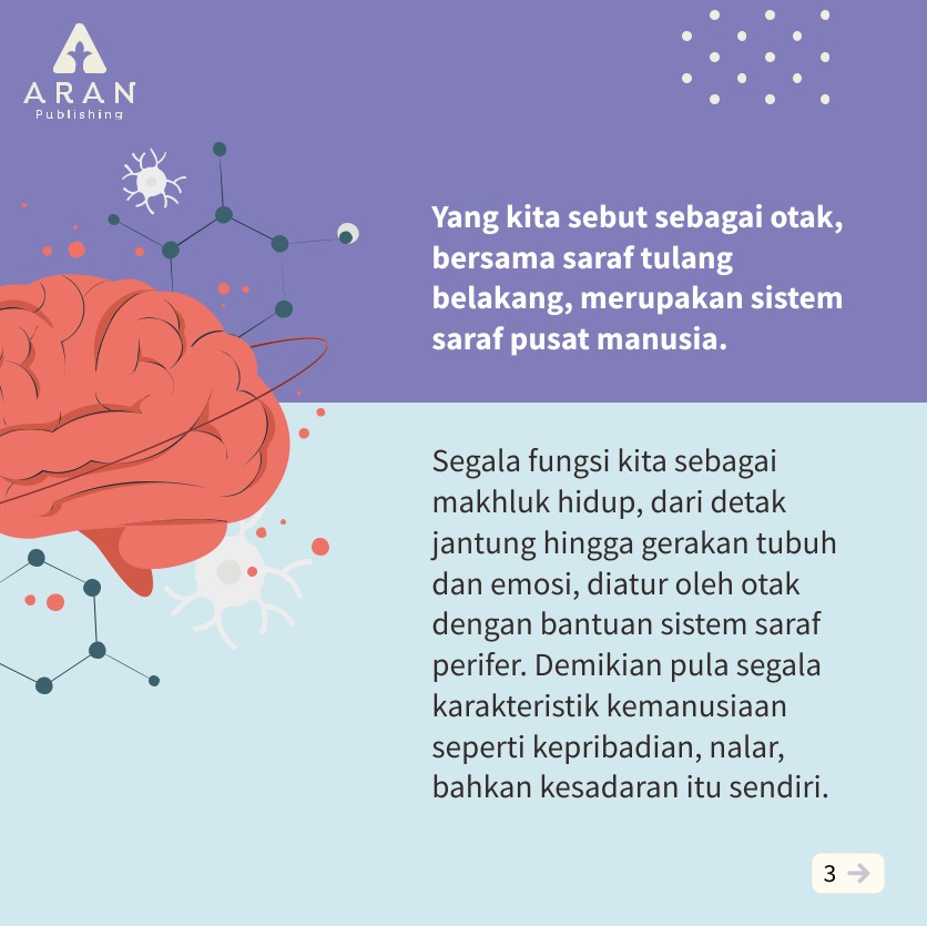 aran_publishing's tweet photo. Otak sebagai sistem saraf https://t.co/fqcMhffyAa