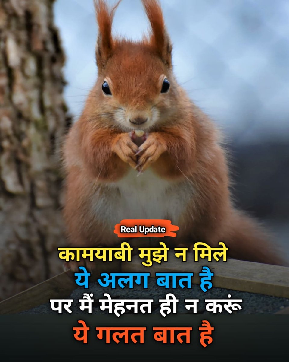 RealUpdate4u's tweet photo. ➡️➡️ कामयाबी ❤️❤️👍👍
#Motivation #MotivationalQuotes
#Hindi #realupdate https://t.co/aXiJfpTWW7