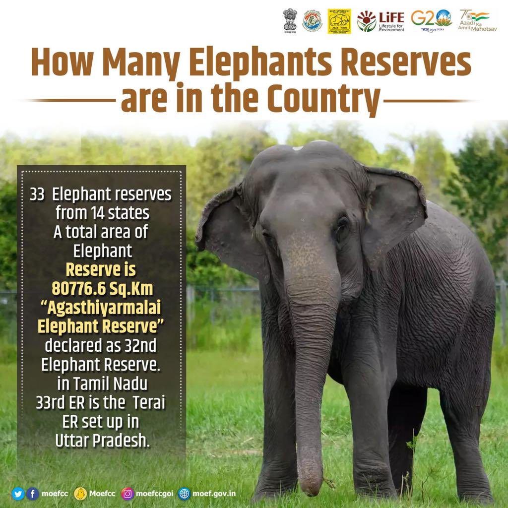 #India is home to 33 #ElephantReserves in 14 states, covering an area of 80776.6 Sq.Km.  #GajUtsav