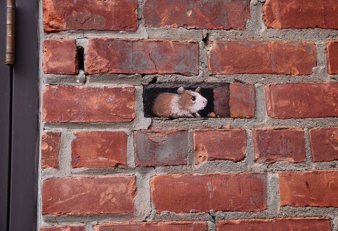 HomesAtMetacoda's tweet photo. Bricked in!
#bricks #art #chalkart #guineapig #3dart #davidzinn
RT @davidzinn_art
The Great Lab Escape: Lenny didn’t mind being a guinea pig until they tried to test his patience. #StreetArt #3Dchalk #GuineaPig #breakout #FurryVengeance https://t.co/IharIBDHhX