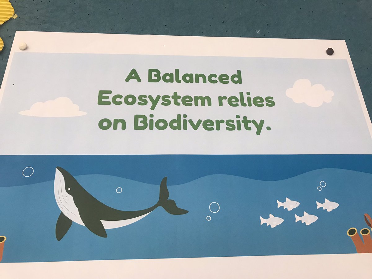 Ged Thomason tweet media