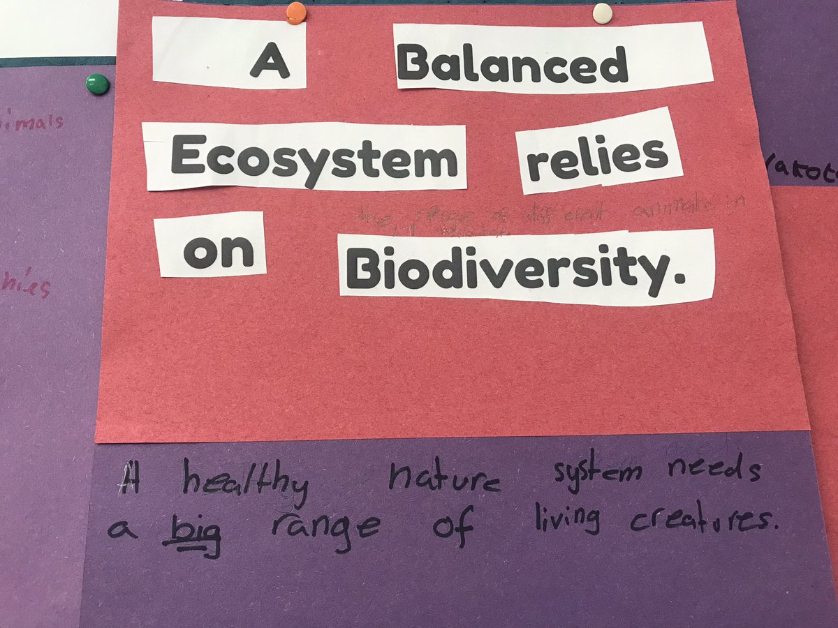 Ged Thomason tweet media