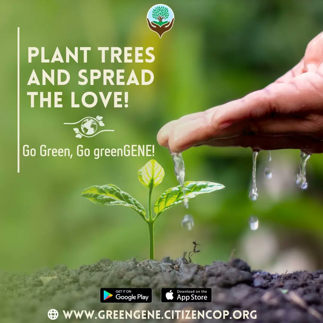 greenGENEIndore's tweet photo. In protecting the environment do a little duty. Let us plant a tree too. 🌱

To know more about greenGENE download the app or DM us! 🗨️

📱App Links:
https://t.co/GzyTy4qd5D

https://t.co/BjGnIZIzFN

#planttrees #treeplantation #greenearth #greenGENE #environmentalcause #earth https://t.co/YHQu0jMp1K