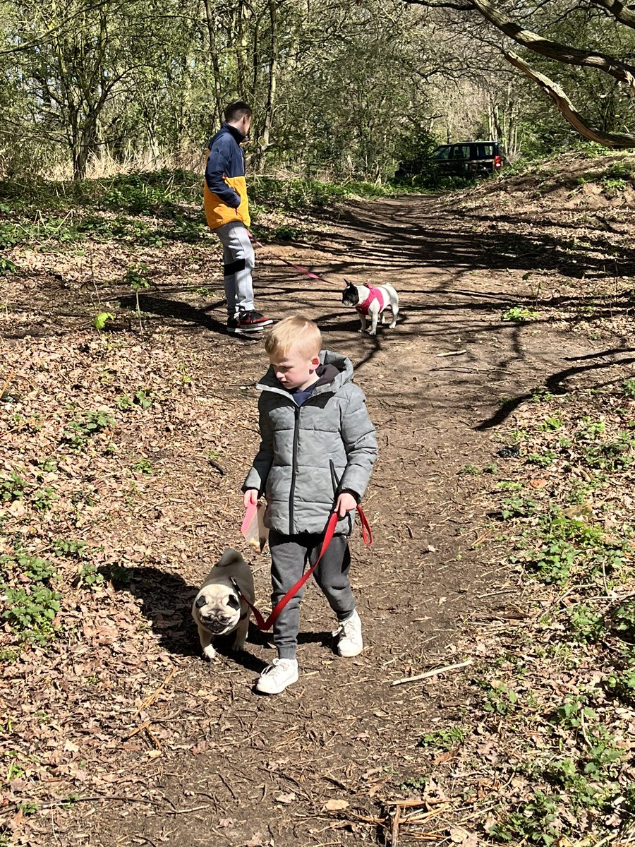 emmakerridge90's tweet photo. #Day40
When you’ve got to go to work, come home to find the boys have had a lovely day, behaved impeccably and dinners ready when you get through the door. #HaveTheBestFriends #HowDifferentLifeIs 
#NeverBeScaredOfChange 
🌈🏡💕 https://t.co/DCZRcaRl19