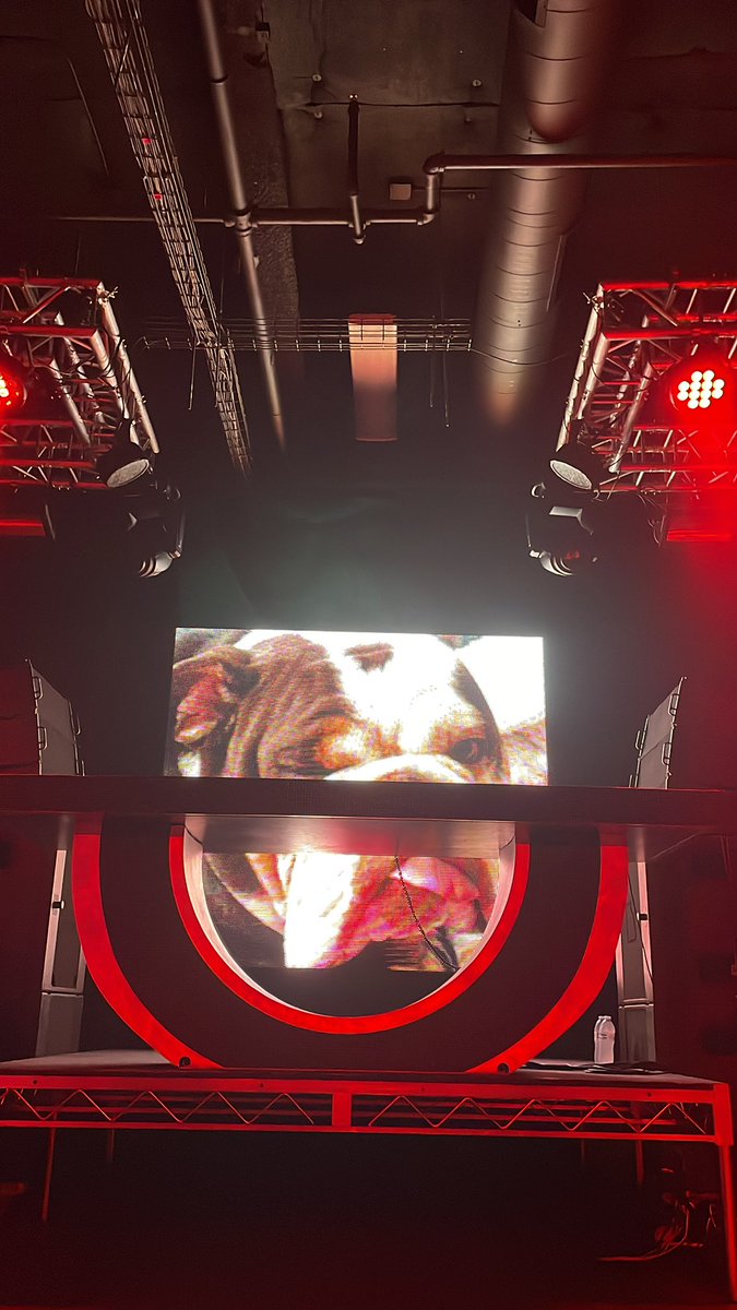 Snake_Venom130's tweet image. We love a @BeefThings montage during @KayzoMusic set change😤